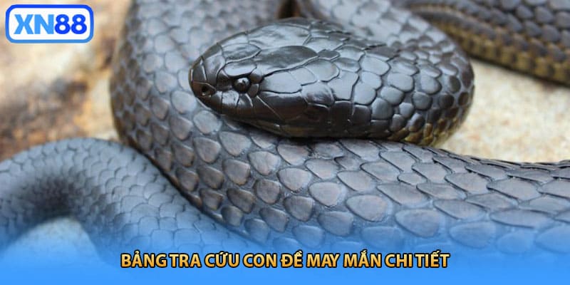 Bảng tra cứu con đề may mắn chi tiết